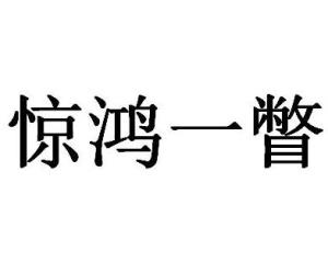 成语什么丽影_成语故事图片