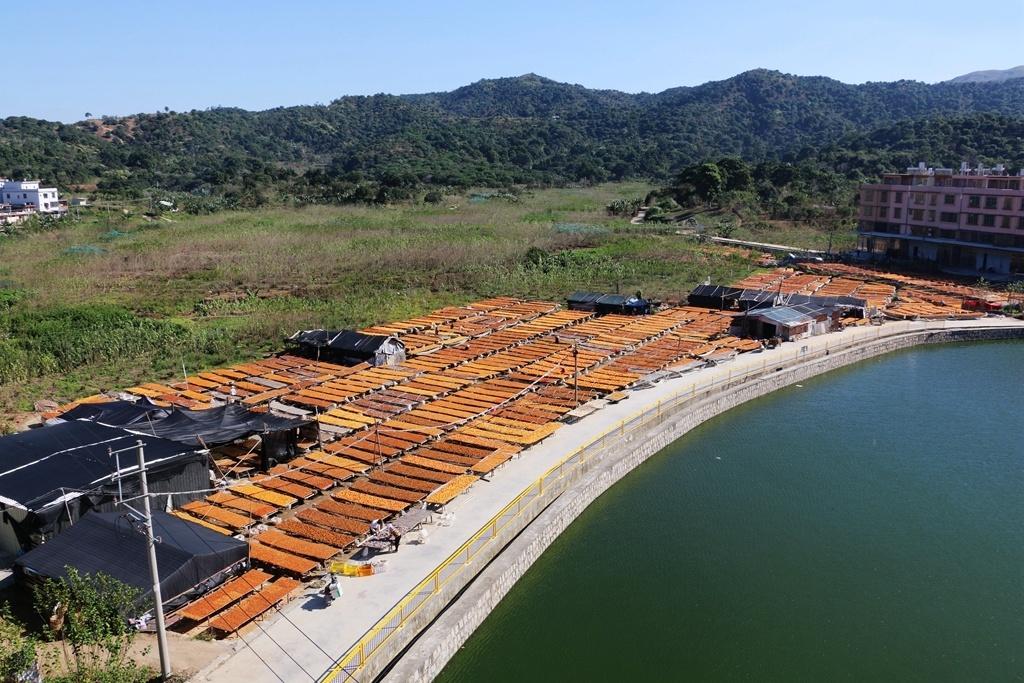 芦塘村(广东省汕头市潮阳区金灶镇芦塘村) - 搜狗百科