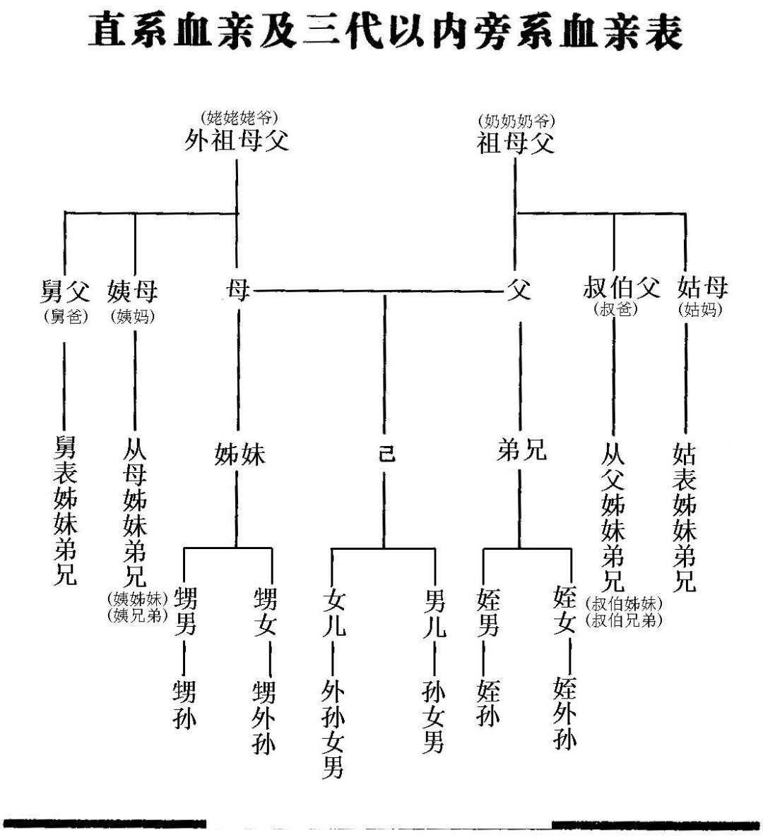 三代旁系血亲