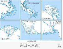 河口三角洲