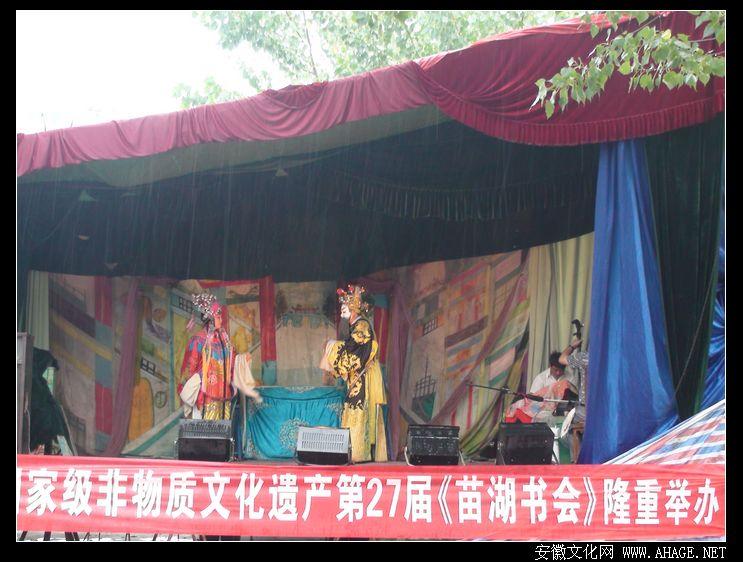 界首苗湖书会