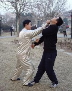 通臂拳(通背拳)中国北方拳术之一,强调以猿背或猿臂取势,故又称"通背