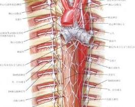 胸交感神经节切除术