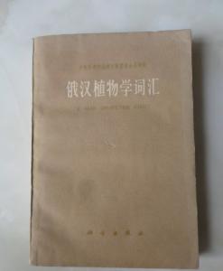300