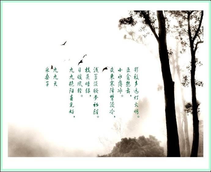 采桑子