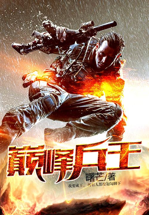 小说文学巅峰 0