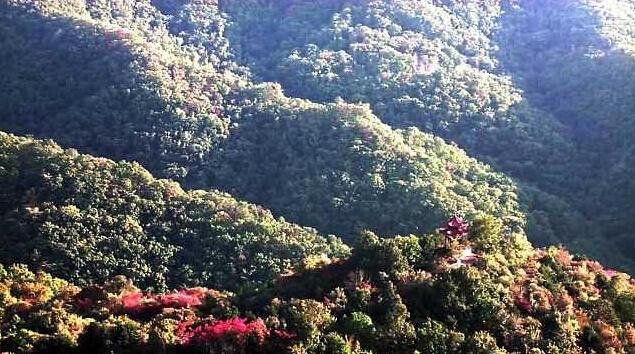 三门峡甘山森林公园