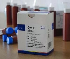 胱抑素c