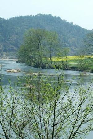 双桥镇地处万载县城东约20公里处,湘赣公路贯穿而过