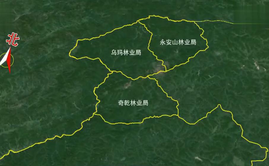 永安山林业局