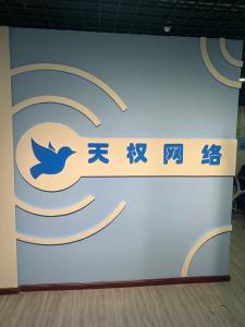 网络技术公司 300