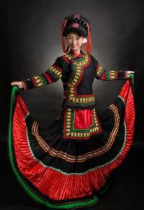 彝族主要分布于四川,云南,贵州等省及.其分支多,服饰种类也多.