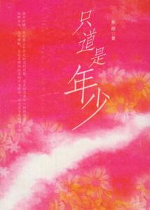 只道是年少 - 搜狗百科
