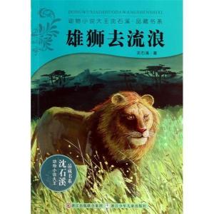 《雄狮去流浪》的读后感