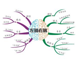 思维导图(mind map,又称脑图,心智地图)是表达发散性思维的有效图形