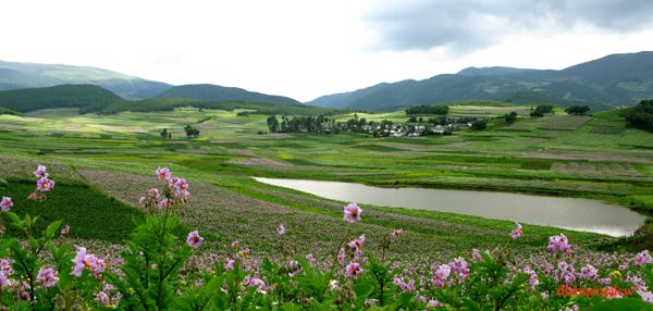 鹤庆县