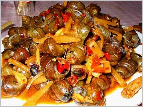 邻水gdp_好消息丨达渝高速公路邻水北出口工程动工(3)