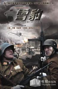 雪豹(2010年文章主演电视剧) - 搜狗百科