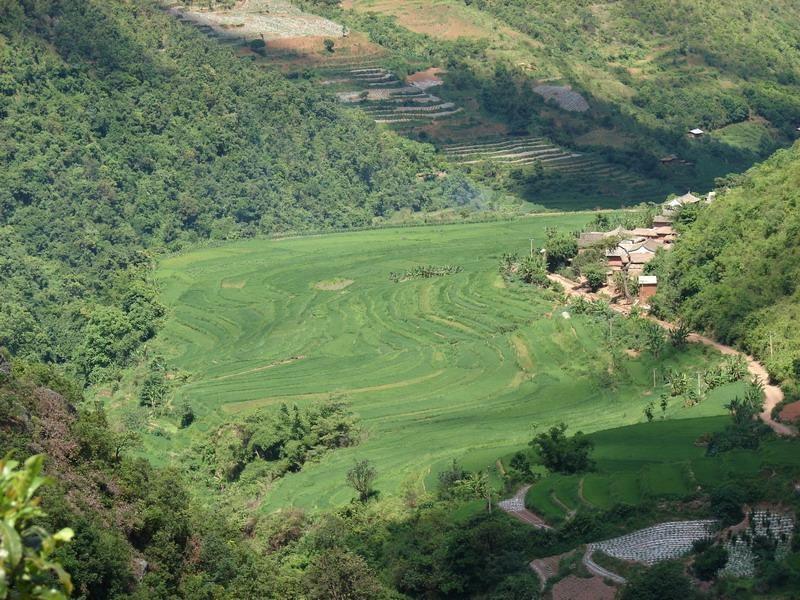 黄草坡村