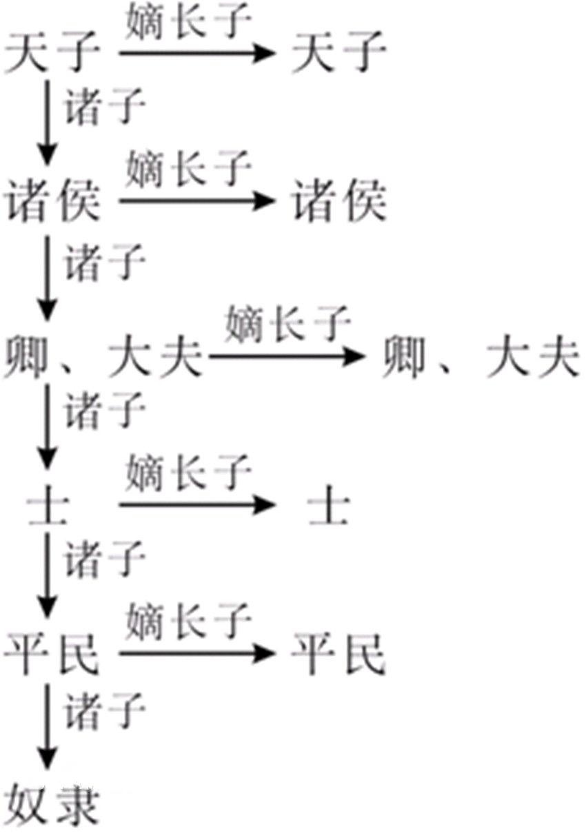 继统法以子继父为主,并由此产生了直系旁系之分,嫡庶之分,大宗小宗之