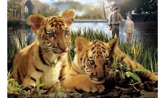 虎兄虎弟图片_纵览新闻