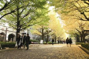青山学院大学