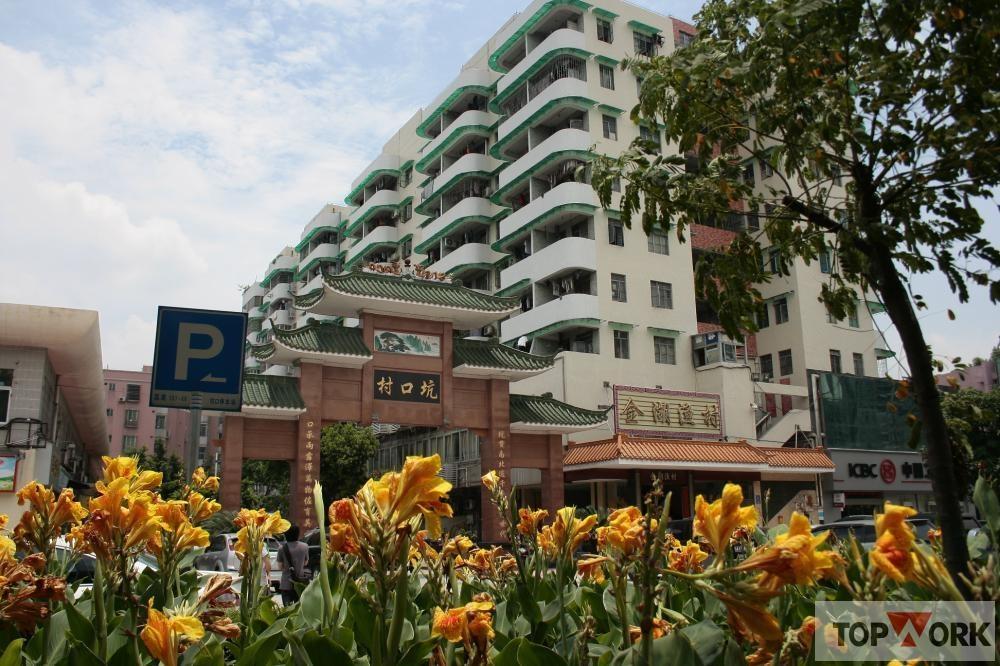 坑口村