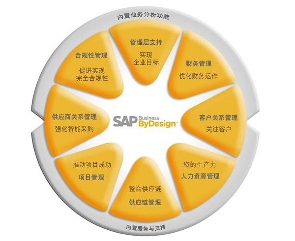 sap在中国的市场占有率