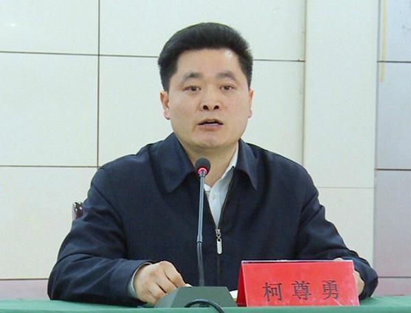 现任中共竹溪县委副书记,竹溪县人民政府县长.