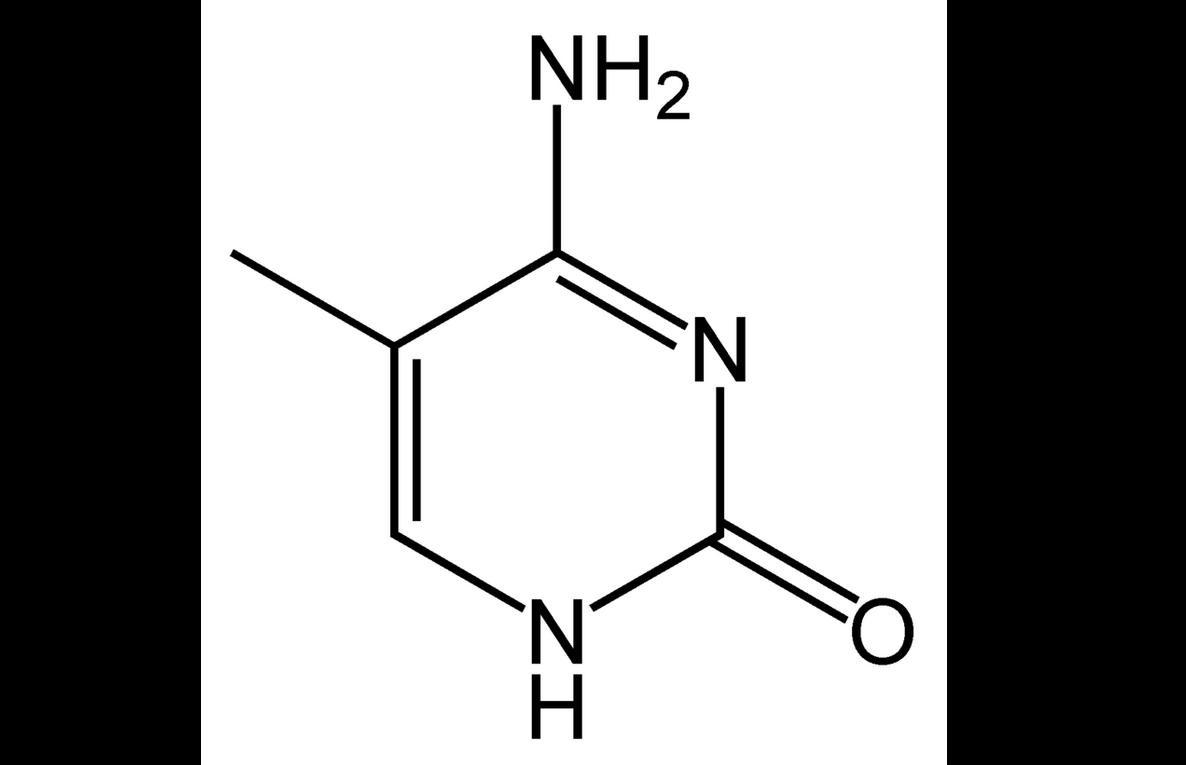 5甲基胞嘧啶