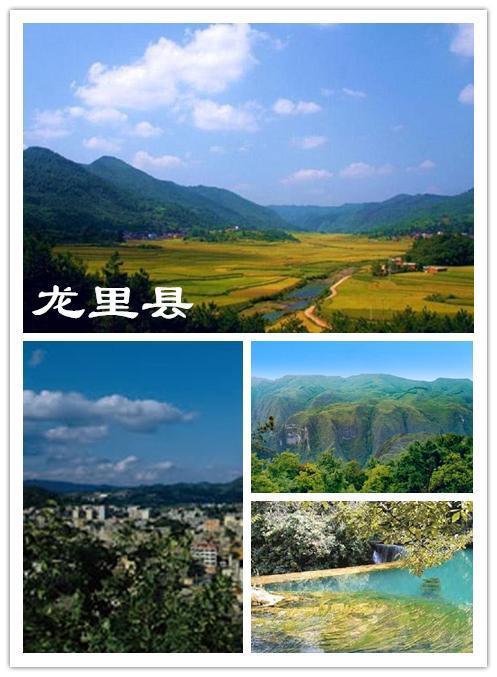 龙里县