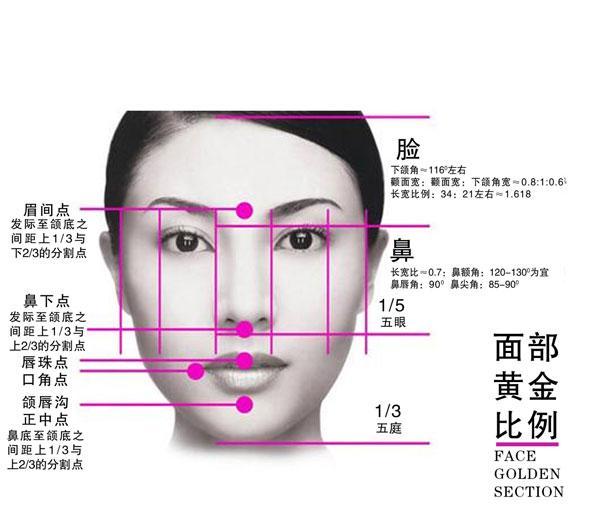 全部版本 历史版本  五官泛指脸的各部位(包括额,双眉,双目,鼻,双颊