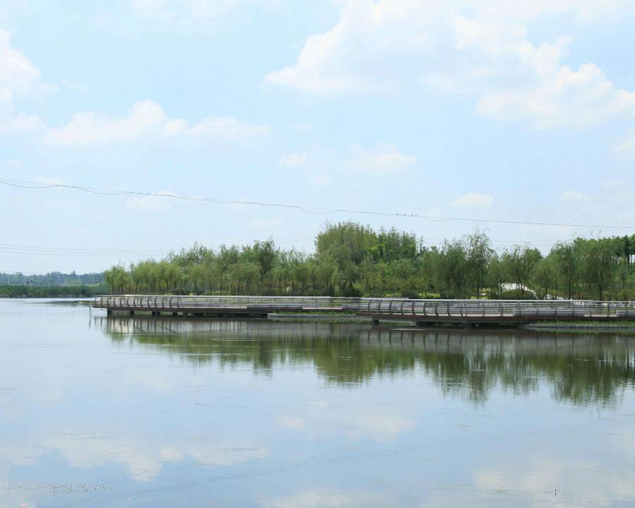 曹县八里湾风景区