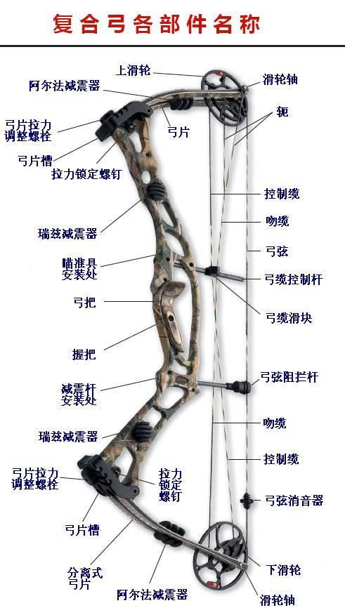 复合弓的图片 0