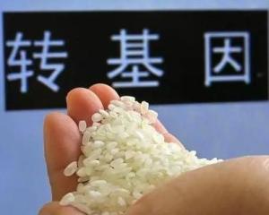 转基因食品