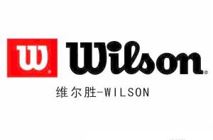 win标语wilson外文名维尔胜别名艾士朗(ashland)制造公司前身篮球