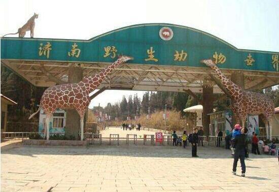 济南野生动物园(ji'nan wild zoo)位于山东省济南市,国家4a级景区