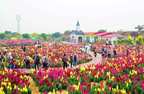 花都香草世界——甜蜜约会之选 2.  广州旅游景点大全 扩展阅读: 1.