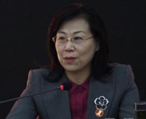 丁琳(陕西省宝鸡市人民政府原副市长)