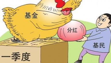 南方稳健成长证券投资基金