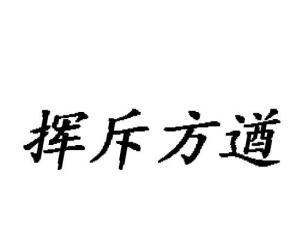 挥斥方遒