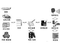 通什么组成语_汽车传动系由什么组成