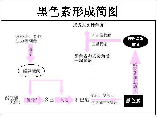 黑色素细胞自毁