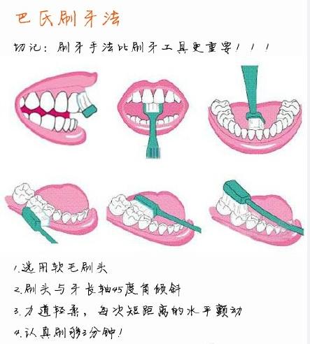 国际上标准的刷牙方法巴氏刷牙法