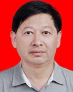 黄蜂蜇人怎样处理 300