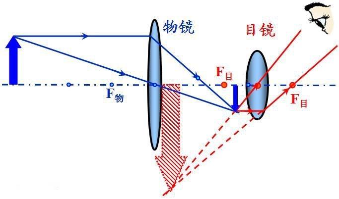 望远镜