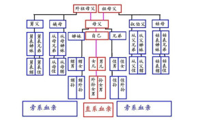 直系亲属