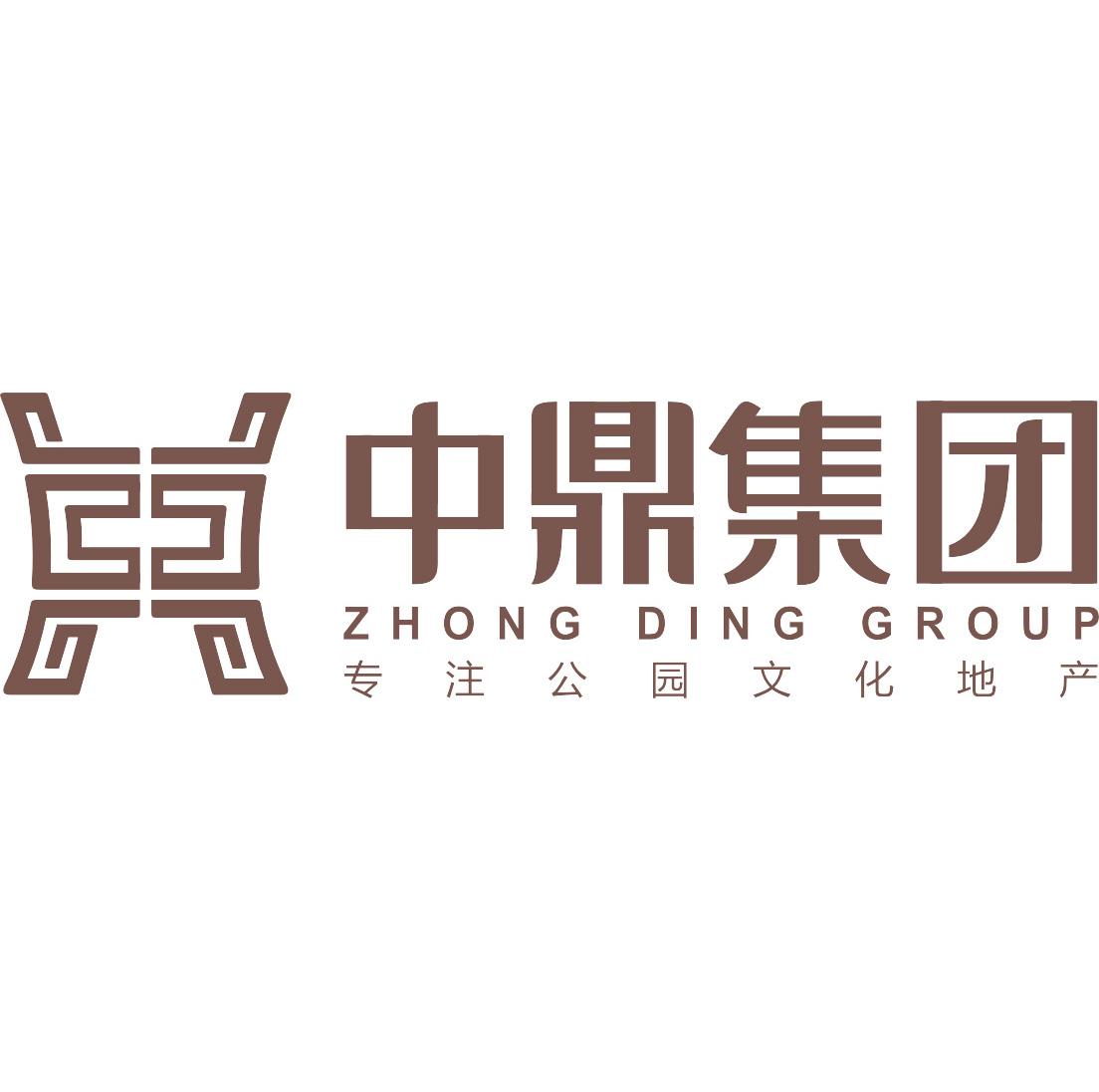 广西中鼎世纪投资集团有限责任公司
