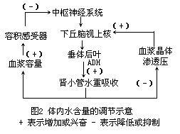 什么是电解质水通俗点 0