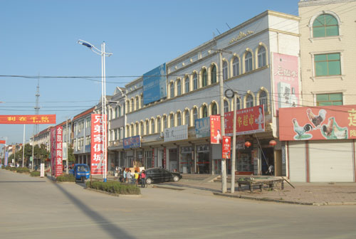 姚村镇经济总量_姚村镇薛村小学图片(3)